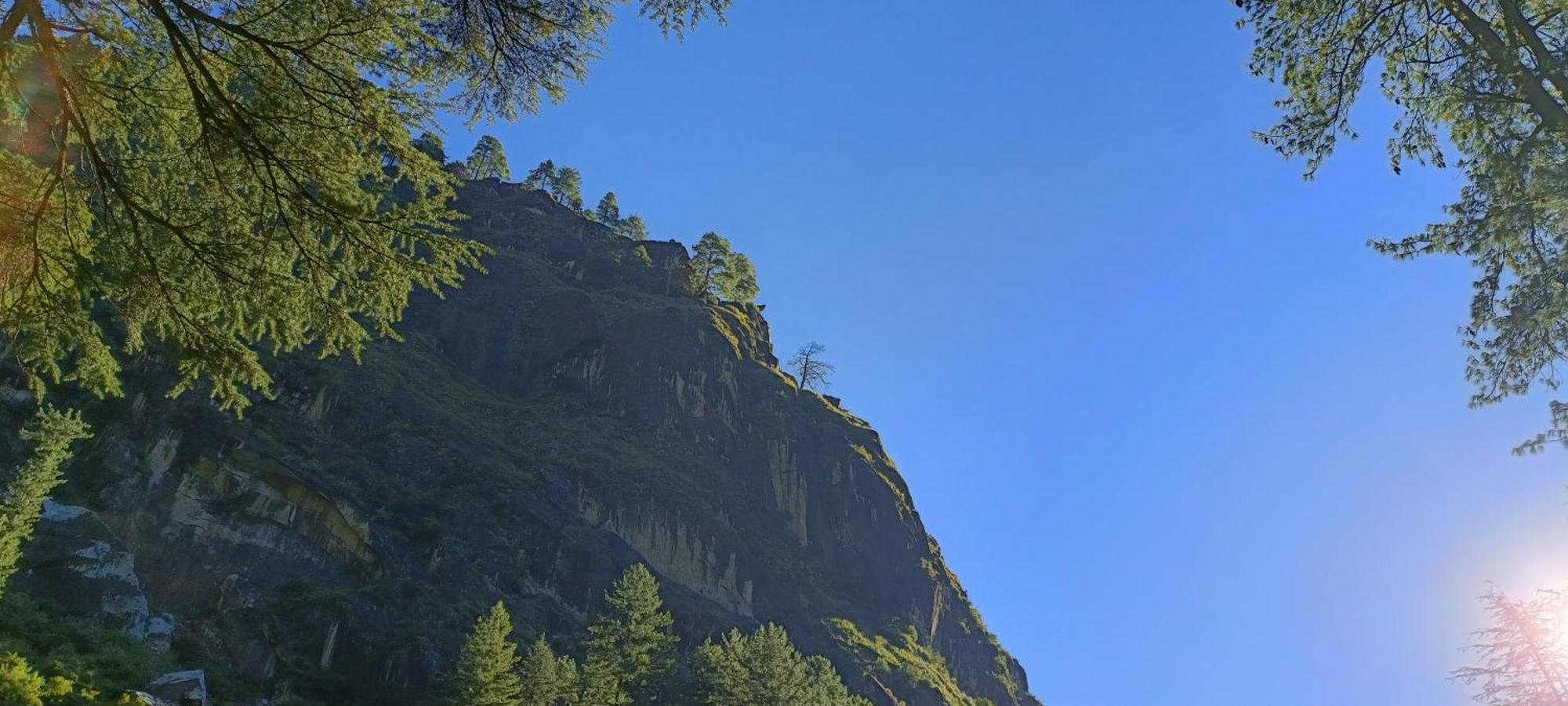 Dog N Hill Hotel Kasol Eksteriør billede