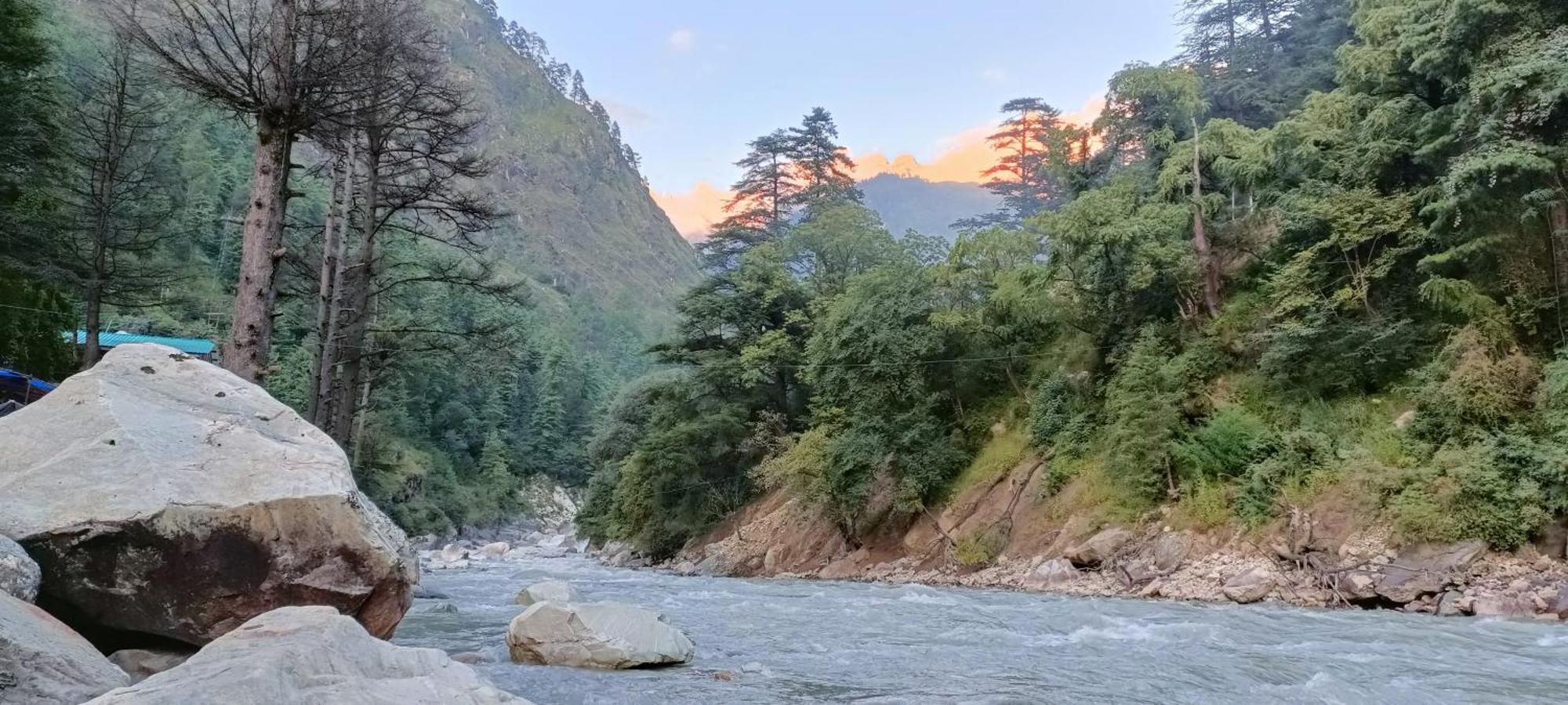 Dog N Hill Hotel Kasol Eksteriør billede